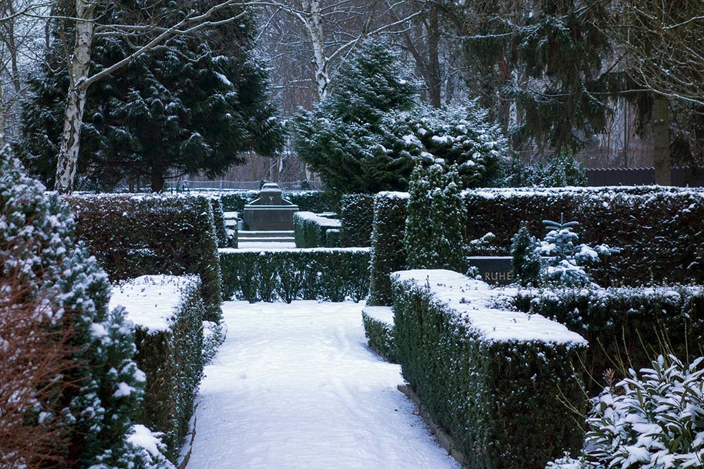 Schneebedeckte Hecken und Grabsteine auf dem Friedhof Berlin-Grunewald