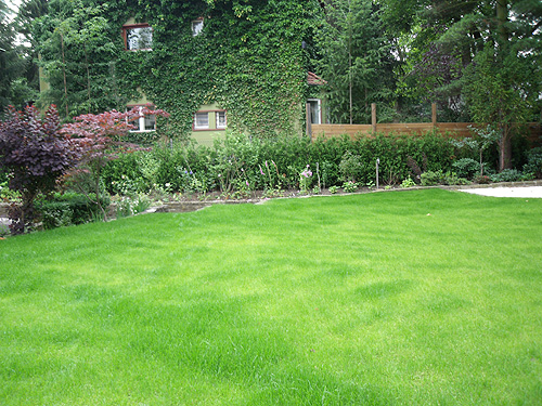 Neuanlage eines Privatgartens - Nachher
