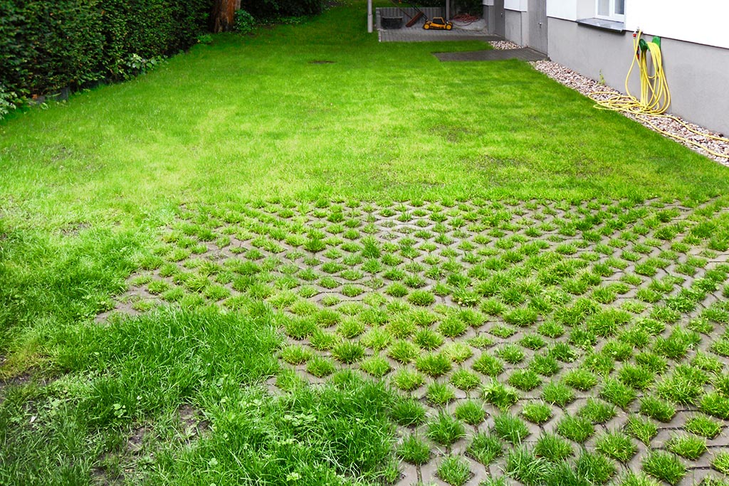 Rasengittersteine aus Beton mit frischem Gras
