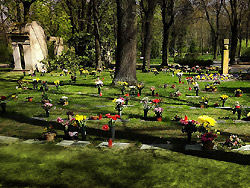Urnenruhegemeinschaft Zentralfriedhof Berlin-Friedrichsfelde